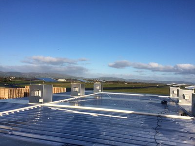 eglinton.jpg